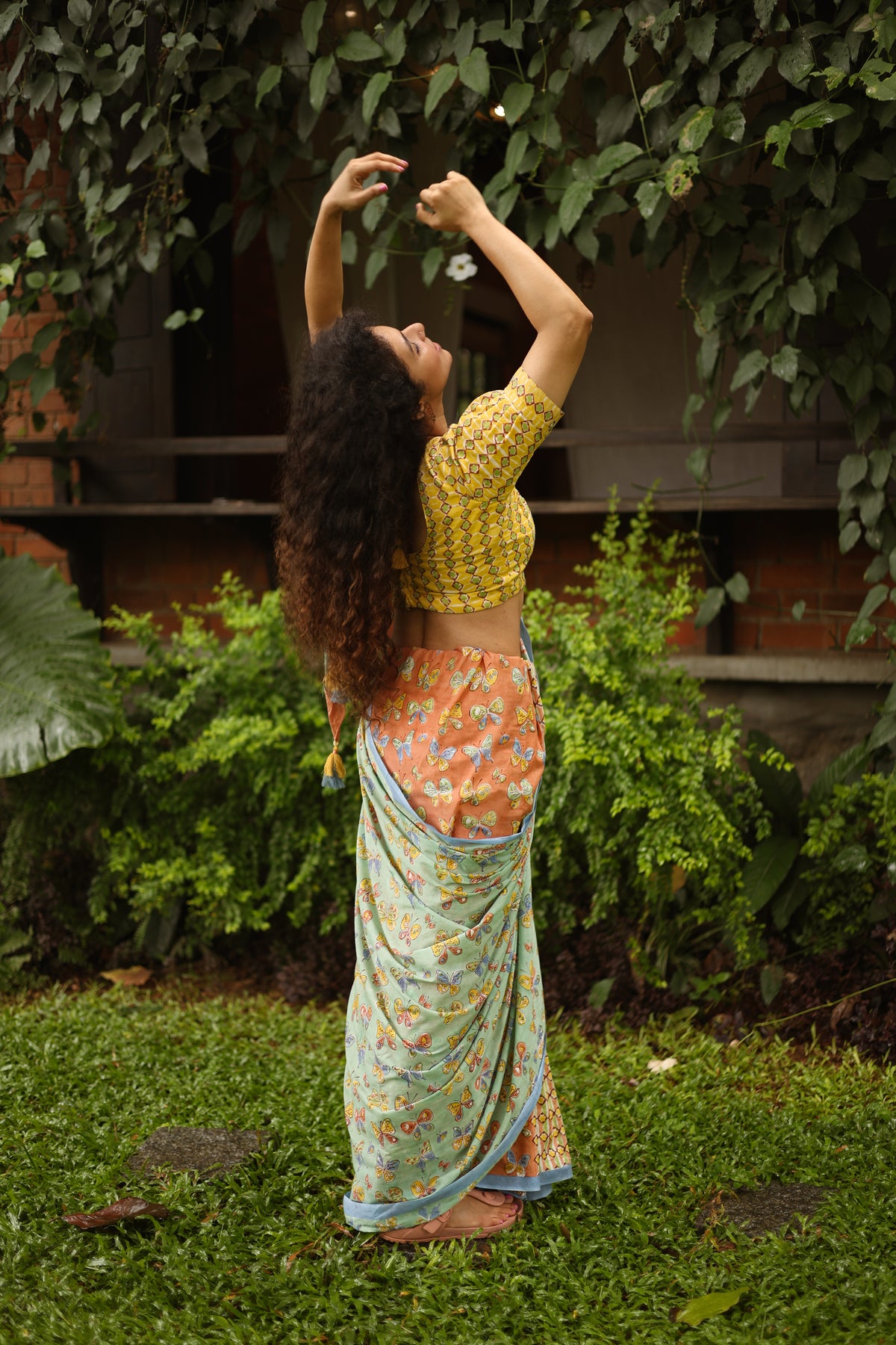 FLUTTER– Mul Cotton Saree