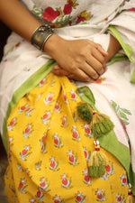 PALLAVI – Mul Cotton Saree