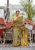 ANAR BAGH - Chanderi Saree