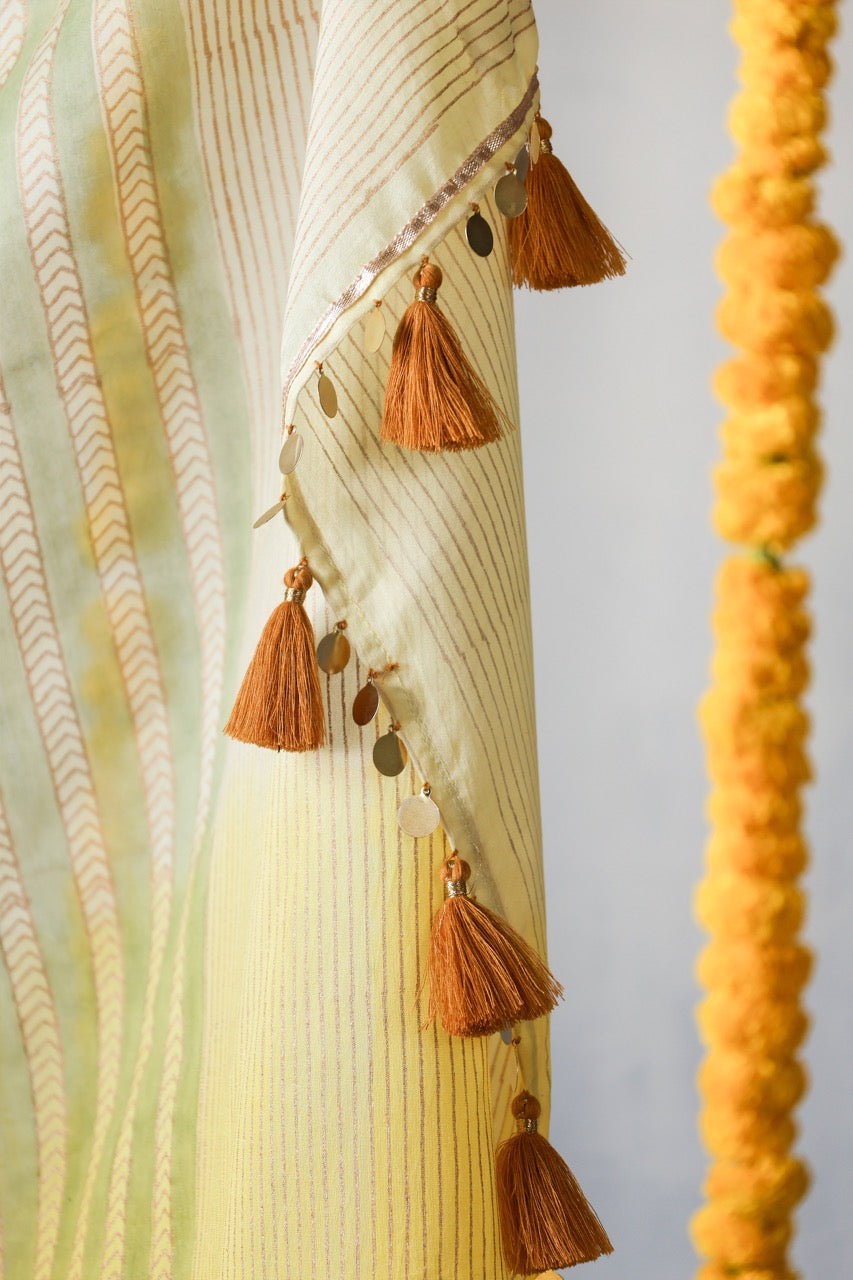 BASANTI - Chanderi Saree