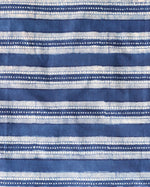 Fabric -Indigo Border Patta