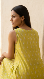 Citrusy Anar butti Dress
