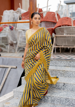 ANAR BAGH - Chanderi Saree