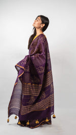 Raagini Chanderi Saree