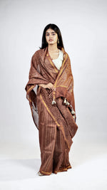 Madhumalti Chanderi Saree