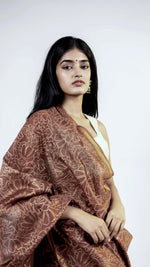 Madhumalti Chanderi Saree