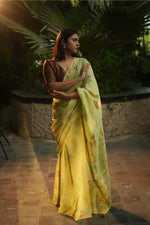 Amodini Chanderi Saree