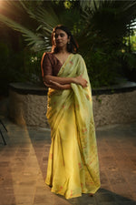 Amodini Chanderi Saree