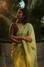 Amodini Chanderi Saree