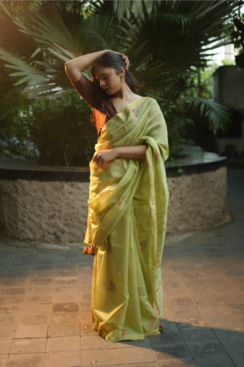 Amodini Chanderi Saree