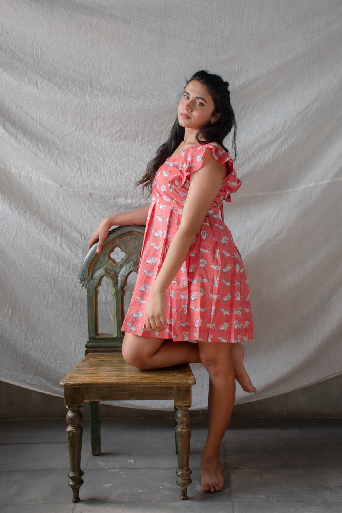 Pawfect Day Dress